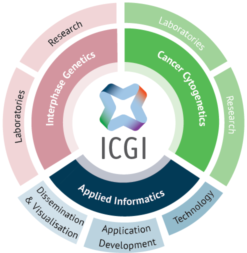 org-chart illustration @icgi.no
